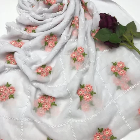 IMG-20240812-WA0035 IMG-20240812-WA0035