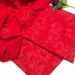 IMG-20240812-WA0048