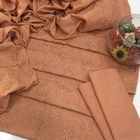 IMG-20241116-WA0008 IMG-20241116-WA0008