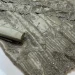 IMG-20250110-WA0003