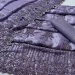 IMG-20250110-WA0027