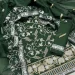 IMG-20250130-WA0010