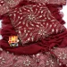 IMG-20250204-WA0025
